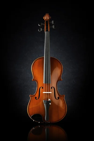 Pohled zepředu záběr na housle — Stock fotografie