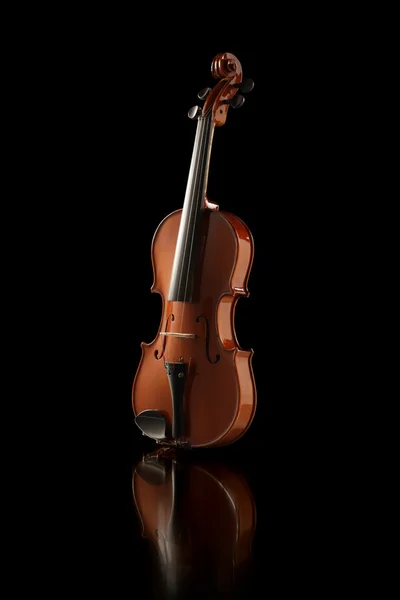Elegante shot van een viool — Stockfoto