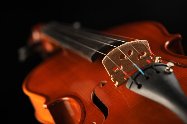 Close up shot of a violin, shallow deep of field
