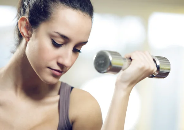 Portrait of young woman lifting free weights Royalty Free Stock Photos