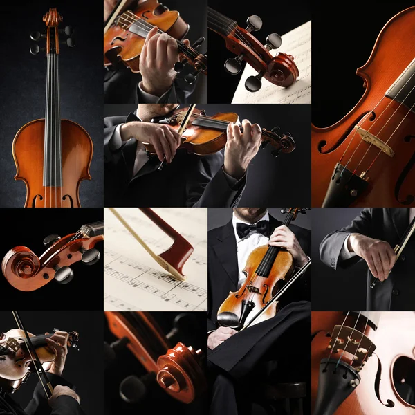 A hegedűművész kollázs: zenész játszik hegedű — Stock Fotó