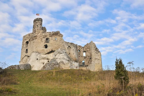 Mirów castle — 스톡 사진