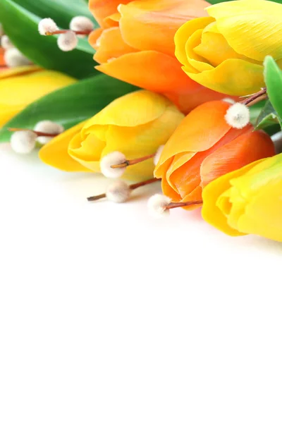 Orangefarbene und gelbe Tulpenränder — Stockfoto