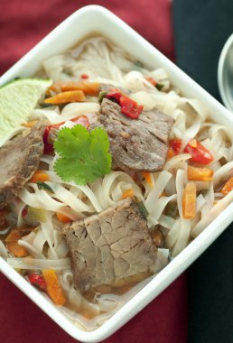 Asian Beef Soup clipart