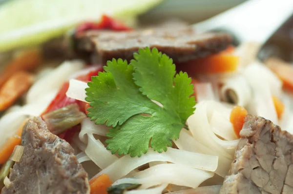 Asiatiska nötkött soppa — Stockfoto