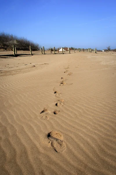 Footsteps on the beach — Stock Photo, Image