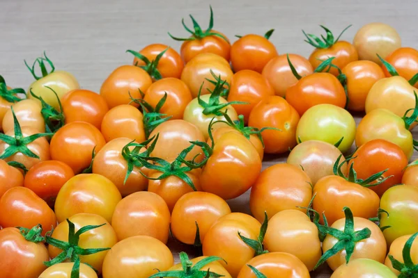 Frisch gepflückte Tomaten im Gewächshaus. nach ein paar Tagen der r — Stockfoto