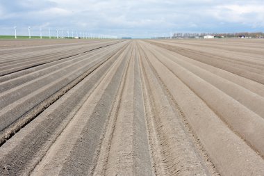 Bare winter farmland in the netherlands, waiting for spring clipart