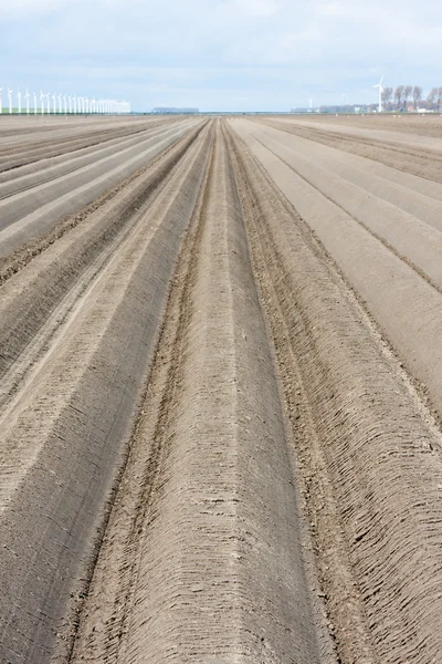 Kale winter landbouwgrond in Nederland, wachten voor de lente — Stockfoto