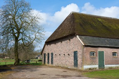 Old historic farmhouse in the Netherlands with reed roof clipart