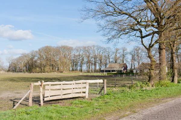 Nederlandse grasland met boerderij en hek — Stockfoto