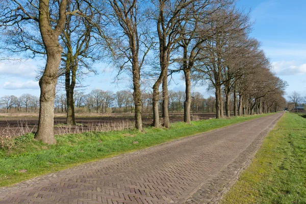 Landweg in Nederland met blote landbouwgrond — Stockfoto