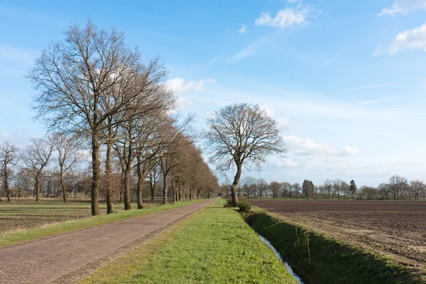 Country road in the Netherlands with bare farmland — Stock Photo, Image