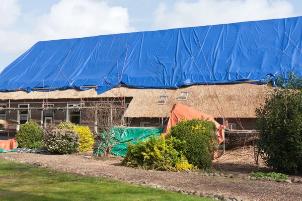Antigua granja holandesa tradicional con un techo de lengüeta reparado —  Fotos de Stock
