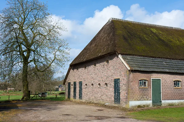 Antiga quinta histórica nos Países Baixos com telhado de junco — Fotografia de Stock
