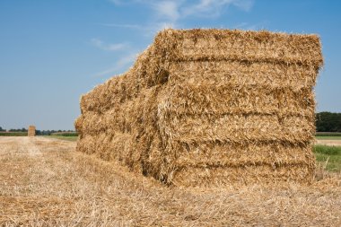 Haystack in the Netherlands clipart