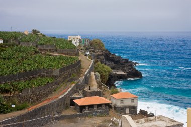 Sahil la palma, canary Islands