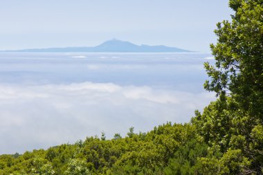 bekijken van tenerife van la palma, Canarische eilanden