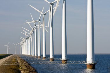 Hollandalı denizin windturbines