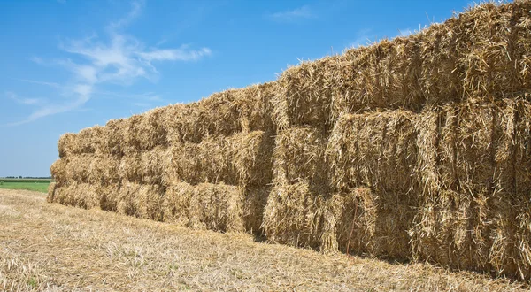 Wall of Hay — Stock Photo, Image