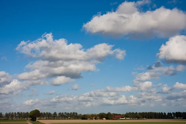 Cloudsky nad loukami Nizozemska — Stock fotografie