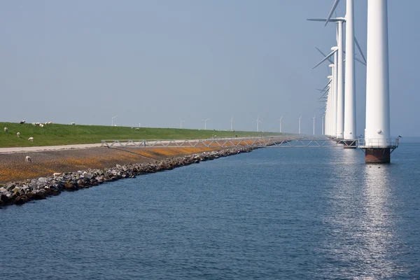 Długi rząd windturbines w morzu holenderski — Zdjęcie stockowe