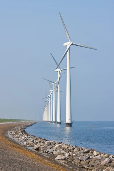 Длинный ряд ветряных мельниц, стоящих в голландском море — стоковое фото