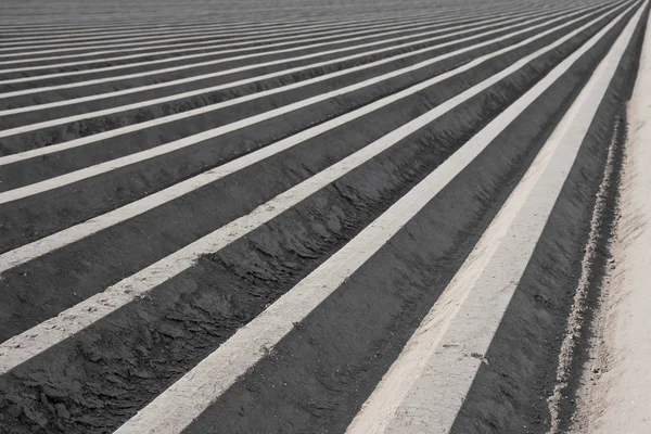 stock image Bare farmland in the Netherlands, waiting for spring