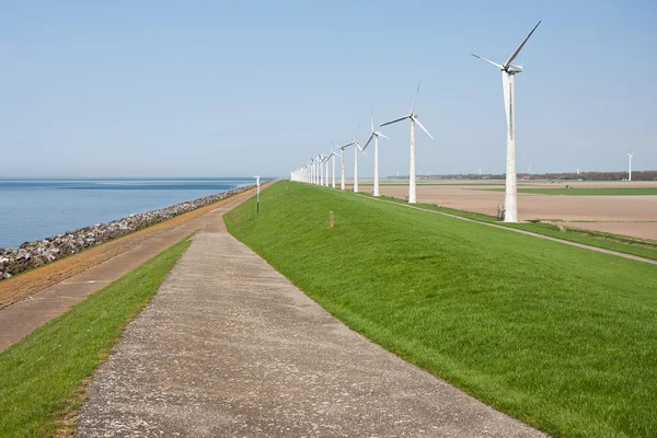 Windmolens in Nederlandse landbouwgrond in de buurt van de zee — Stockfoto