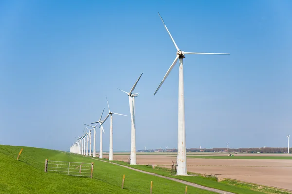 Molinos de viento en granjas holandesas — Foto de Stock