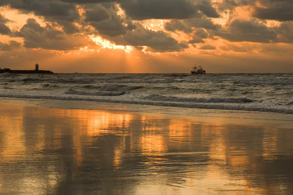 Złotej plaży o zachodzie słońca w Holandii — Zdjęcie stockowe