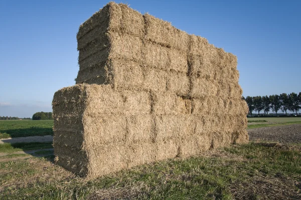 Haystack in the Netherlands — Stock Photo, Image