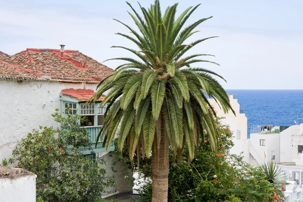 Santa Cruz, Hauptstadt von La Palma — Stockfoto