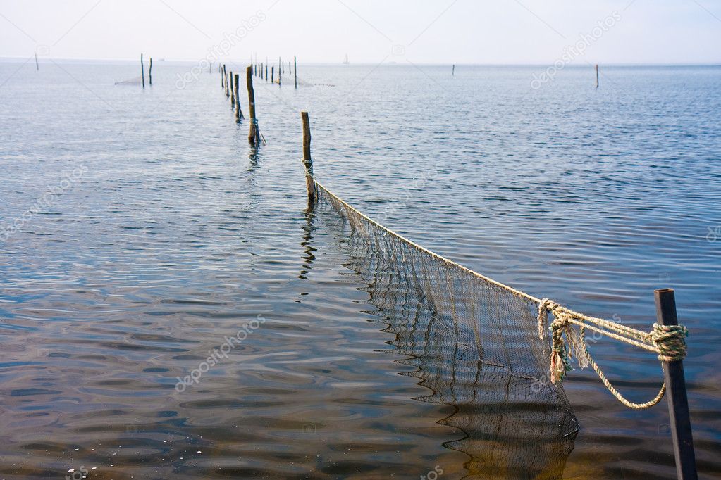 Fishing nets in the Durch sea