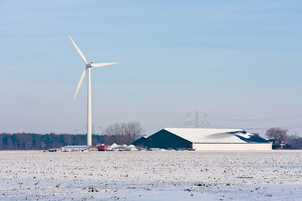 Ferme hollandaise avec éolienne en hiver — Photo
