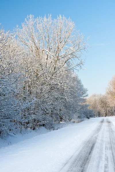 Road through snowy wood in wintertime — Stock Photo, Image