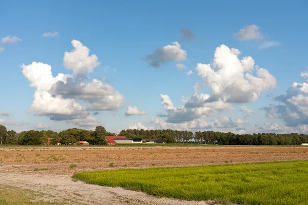 Jordbruksmark i Nederländerna med en typisk holländsk molnlandskap — Stockfoto