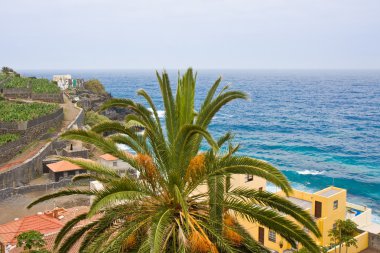 Coast of La Palma, Canary Islands clipart