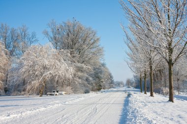 Wintertime in the farmland of the Netherlands clipart