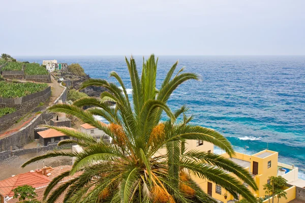 Kust van la palma, Canarische eilanden — Stockfoto
