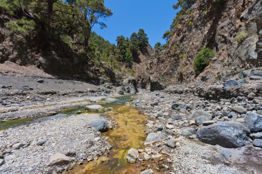 Caldera de Taburiente, valley at La Palma, Canary Islands clipart