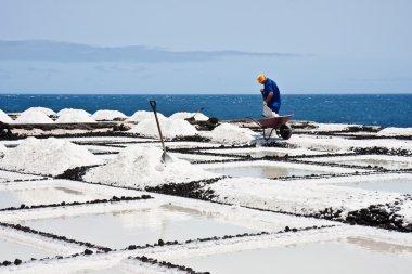 Worker at salt extraction La Palma clipart