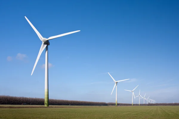 Opravené windturbines v zemědělské oblasti flevoland, Nizozemsko — Stock fotografie