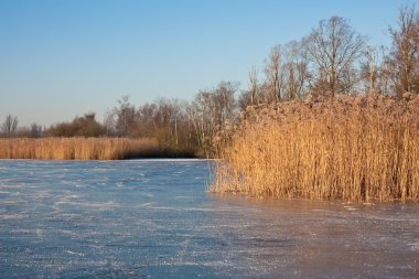 Desolate skating place in Dutch wetland clipart