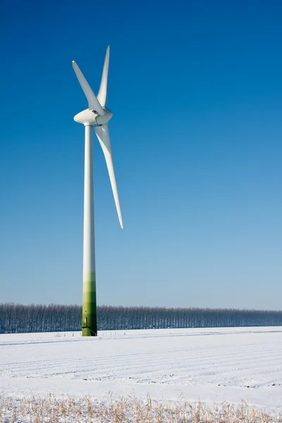 Сельский зимний пейзаж в Нидерландах с большой ветряной турбиной — стоковое фото