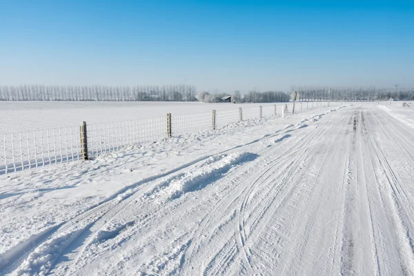 Голландский зимний пейзаж сельхозугодий с проселочной дорогой — стоковое фото
