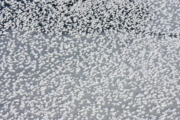 Black ice with frozen snowflakes upon it — Stock Photo, Image