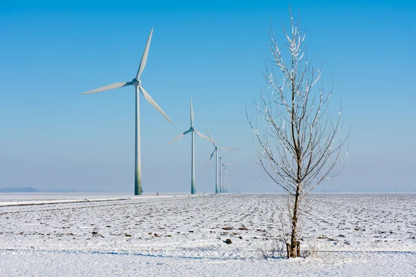 Turbine eoliche nel paesaggio invernale dei terreni agricoli olandesi — Foto Stock