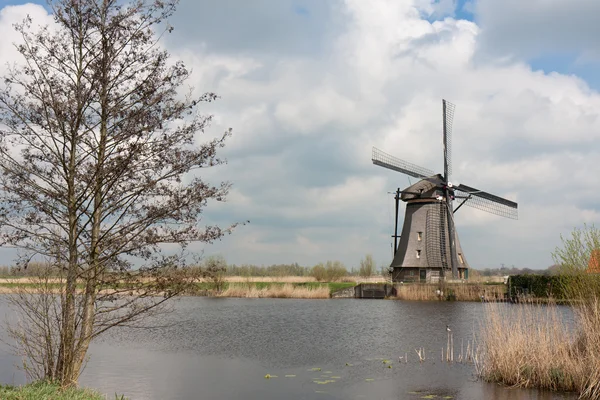 Hermoso molino de viento tradicional en primavera, Kinderdijk, el Ne —  Fotos de Stock