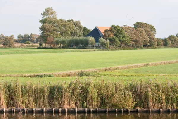 Typical Dutch farmhouse in the meadows — Stock Photo, Image